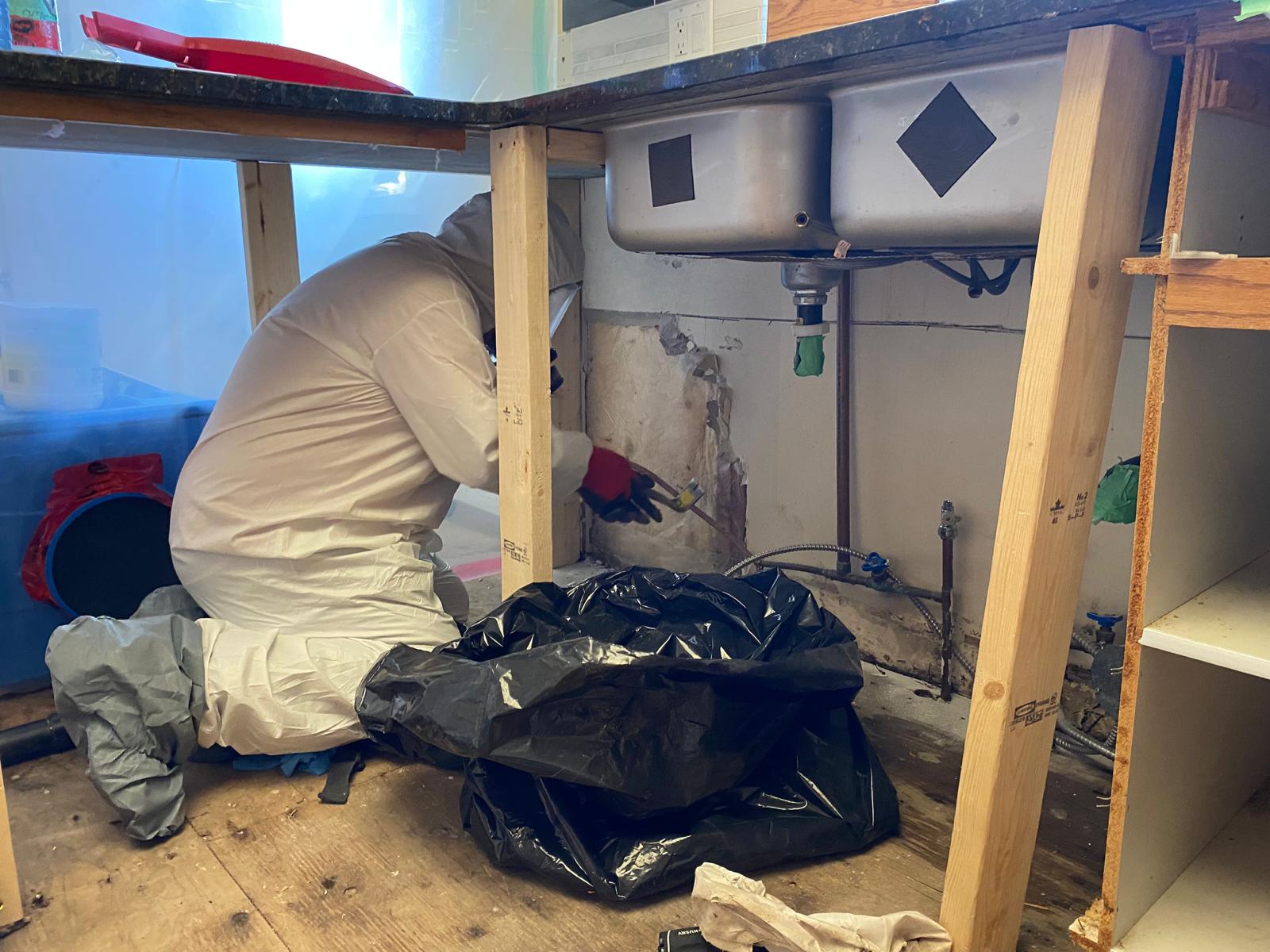 Mold Remediation
